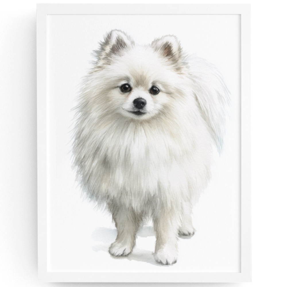 Watercolor Pomeranian Dog Portrait Art Print – Unframed Fine Art Poster
